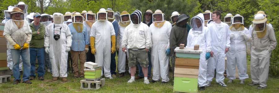 Swarm