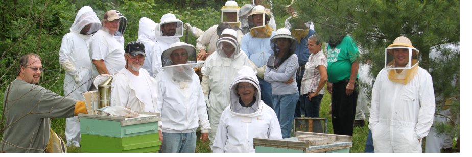 Members in bee suits at a field day